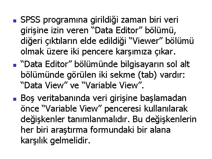 n n n SPSS programına girildiği zaman biri veri girişine izin veren “Data Editor”