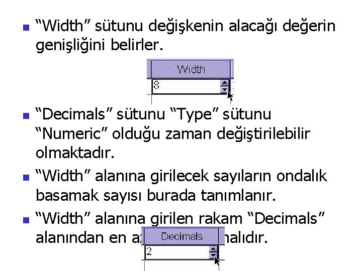 n n “Width” sütunu değişkenin alacağı değerin genişliğini belirler. “Decimals” sütunu “Type” sütunu “Numeric”