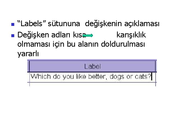 n n “Labels” sütununa değişkenin açıklaması Değişken adları kısa karışıklık olmaması için bu alanın