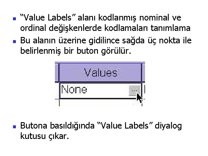 n n n “Value Labels” alanı kodlanmış nominal ve ordinal değişkenlerde kodlamaları tanımlama Bu