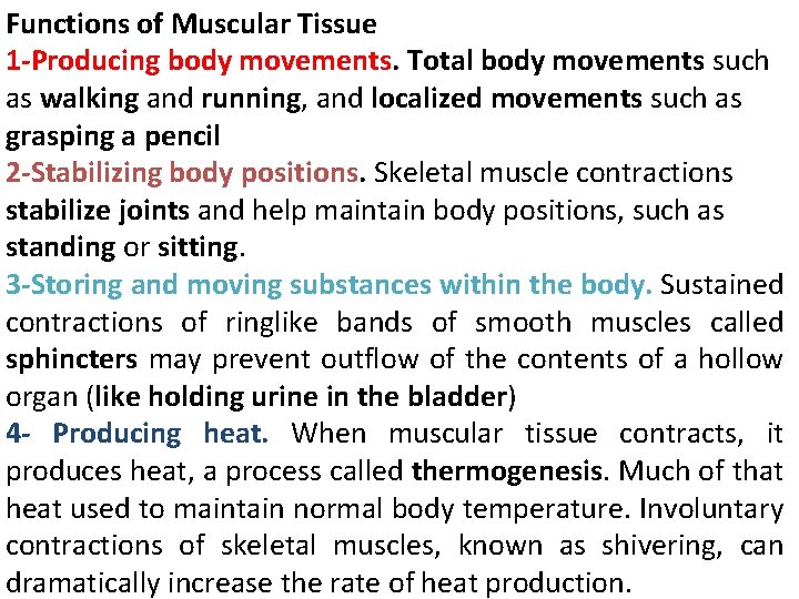 Functions of Muscular Tissue 1 -Producing body movements. Total body movements such as walking
