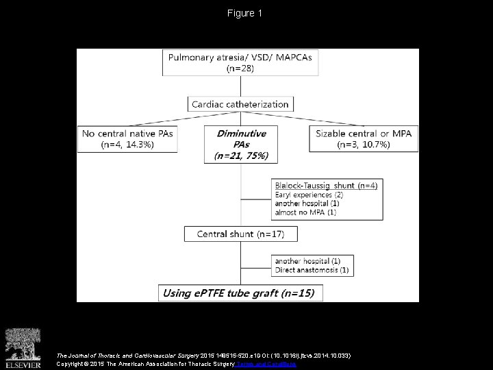 Figure 1 The Journal of Thoracic and Cardiovascular Surgery 2015 149515 -520. e 1