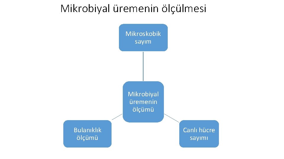 Mikrobiyal üremenin ölçülmesi Mikroskobik sayım Mikrobiyal üremenin ölçümü Bulanıklık ölçümü Canlı hücre sayımı 