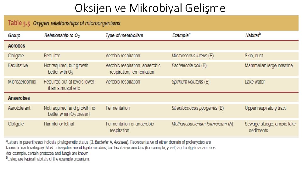 Oksijen ve Mikrobiyal Gelişme 