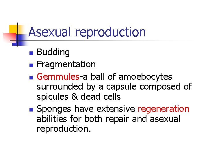 Asexual reproduction n n Budding Fragmentation Gemmules-a ball of amoebocytes surrounded by a capsule
