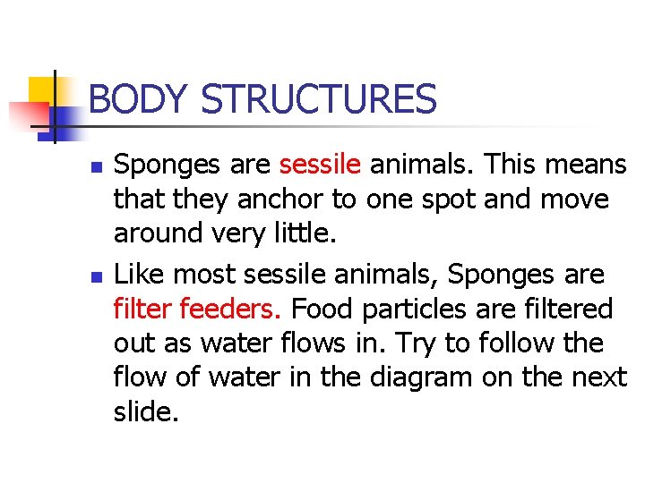 PHYLUM PORIFERA SPONGES Invertebrate Animals Phylum Porifera n