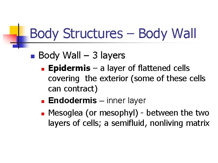 Body Structures – Body Wall n Body Wall – 3 layers n n n
