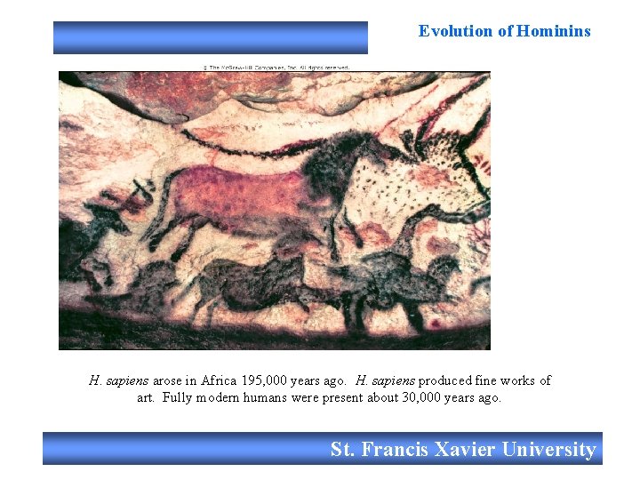 Evolution of Hominins H. sapiens arose in Africa 195, 000 years ago. H. sapiens