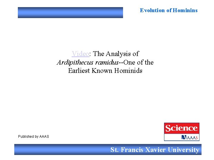 Evolution of Hominins Video: The Analysis of Ardipithecus ramidus--One of the Earliest Known Hominids