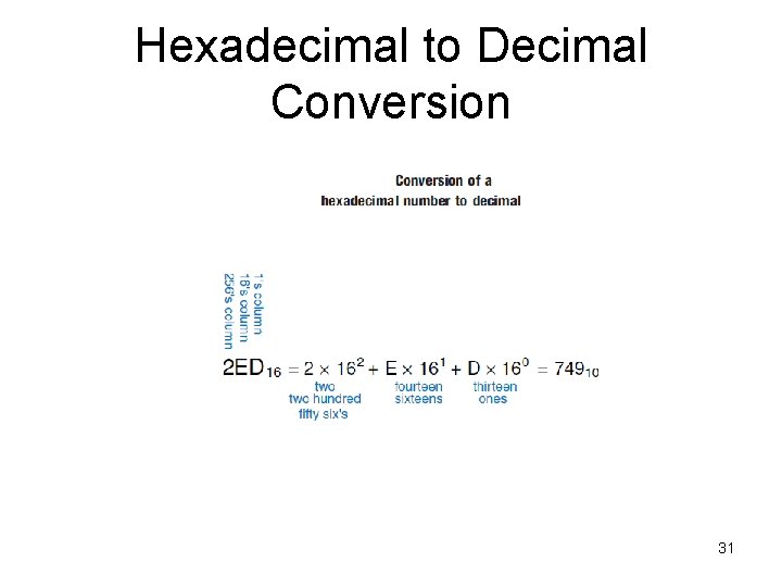 Hexadecimal to Decimal Conversion 31 