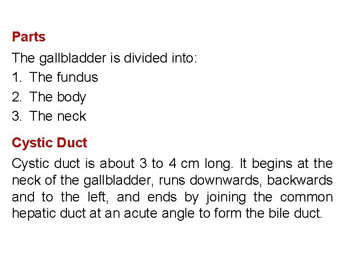 Parts The gallbladder is divided into: 1. The fundus 2. The body 3. The