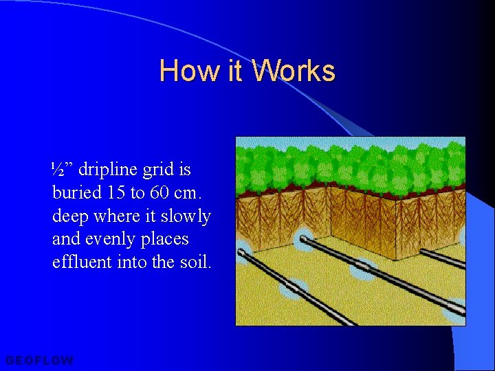 How it Works ½” dripline grid is buried 15 to 60 cm. deep where