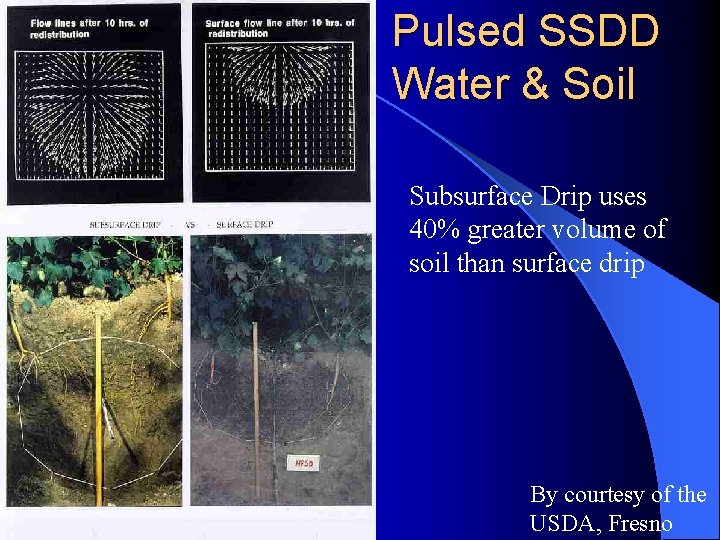 Pulsed SSDD Water & Soil Subsurface Drip uses 40% greater volume of soil than