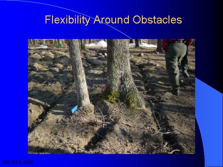 Flexibility Around Obstacles GEOFLOW 