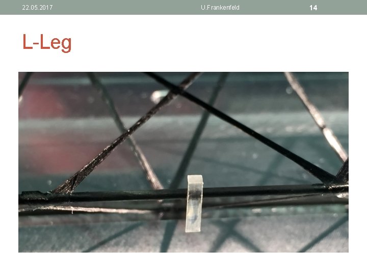22. 05. 2017 L-Leg U. Frankenfeld 14 