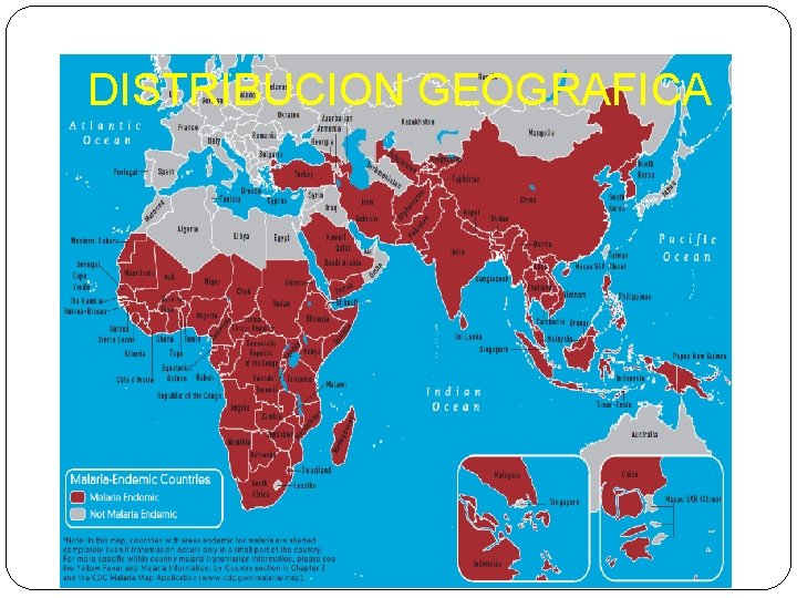 DISTRIBUCION GEOGRAFICA 