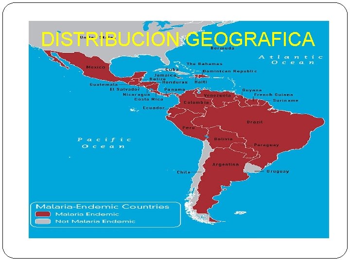 DISTRIBUCION GEOGRAFICA 