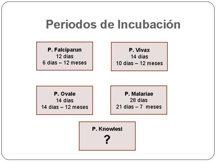 Periodos de Incubación P. Falciparun 12 días 6 días – 12 meses P. Vivax