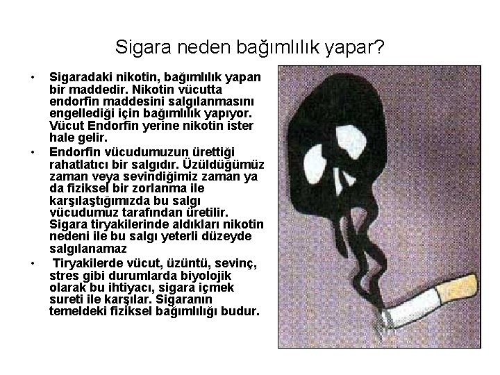 Sigara neden bağımlılık yapar? • • • Sigaradaki nikotin, bağımlılık yapan bir maddedir. Nikotin