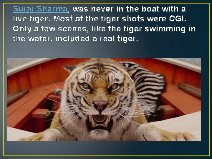 Suraj Sharma, was never in the boat with a live tiger. Most of the
