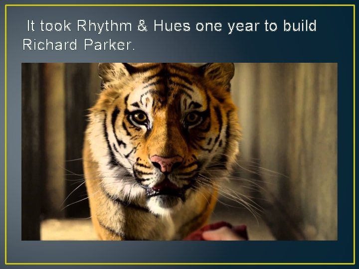 It took Rhythm & Hues one year to build Richard Parker. 