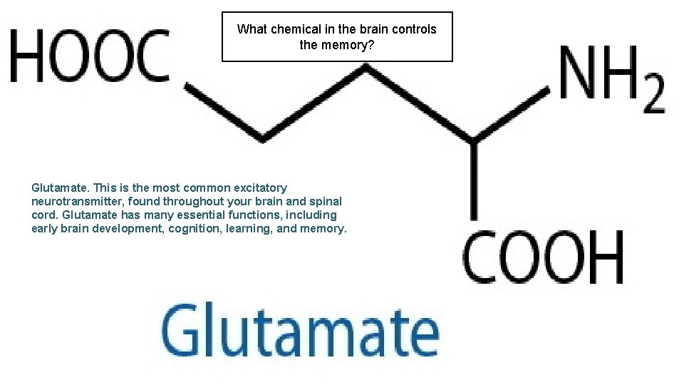 What chemical in the brain controls the memory? Glutamate. This is the most common