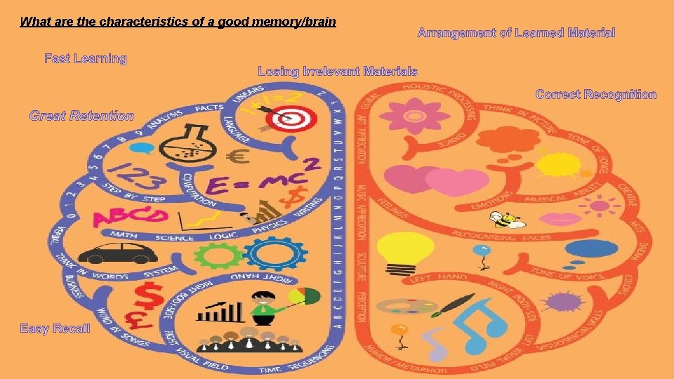 What are the characteristics of a good memory/brain 