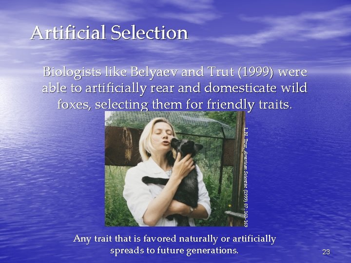 Artificial Selection Biologists like Belyaev and Trut (1999) were able to artificially rear and
