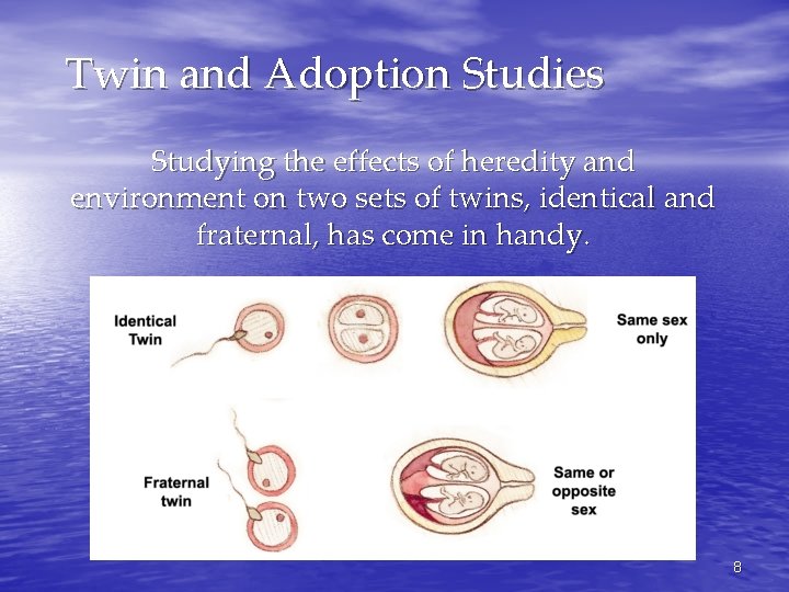 Twin and Adoption Studies Studying the effects of heredity and environment on two sets