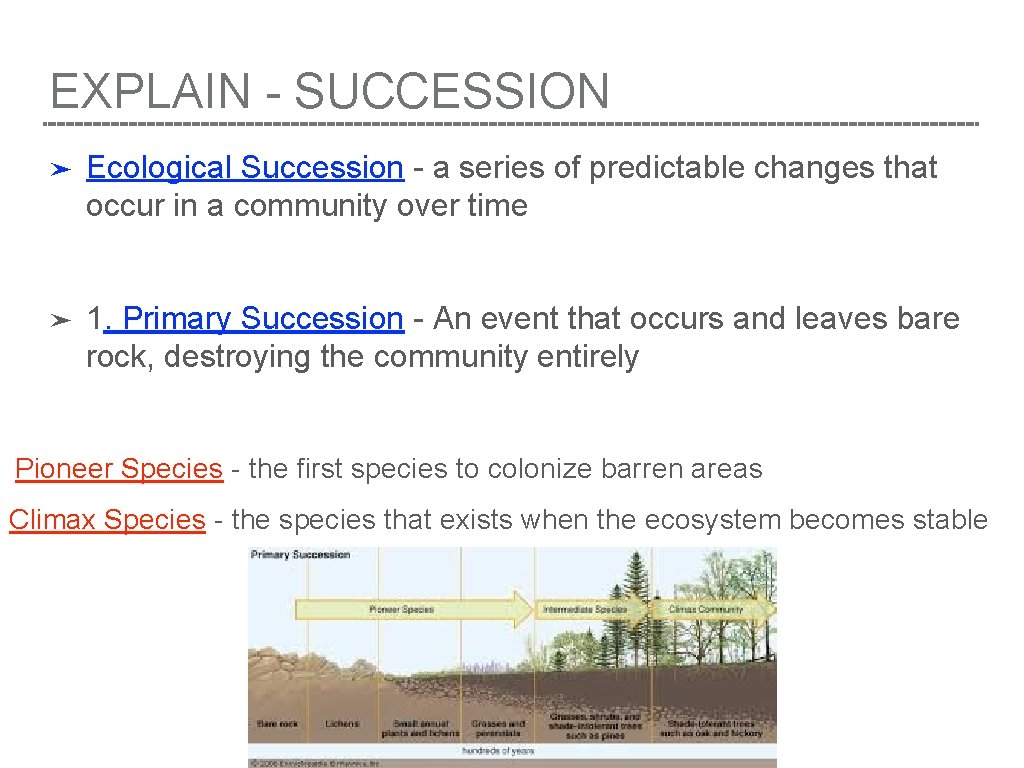 EXPLAIN - SUCCESSION ➤ Ecological Succession - a series of predictable changes that occur