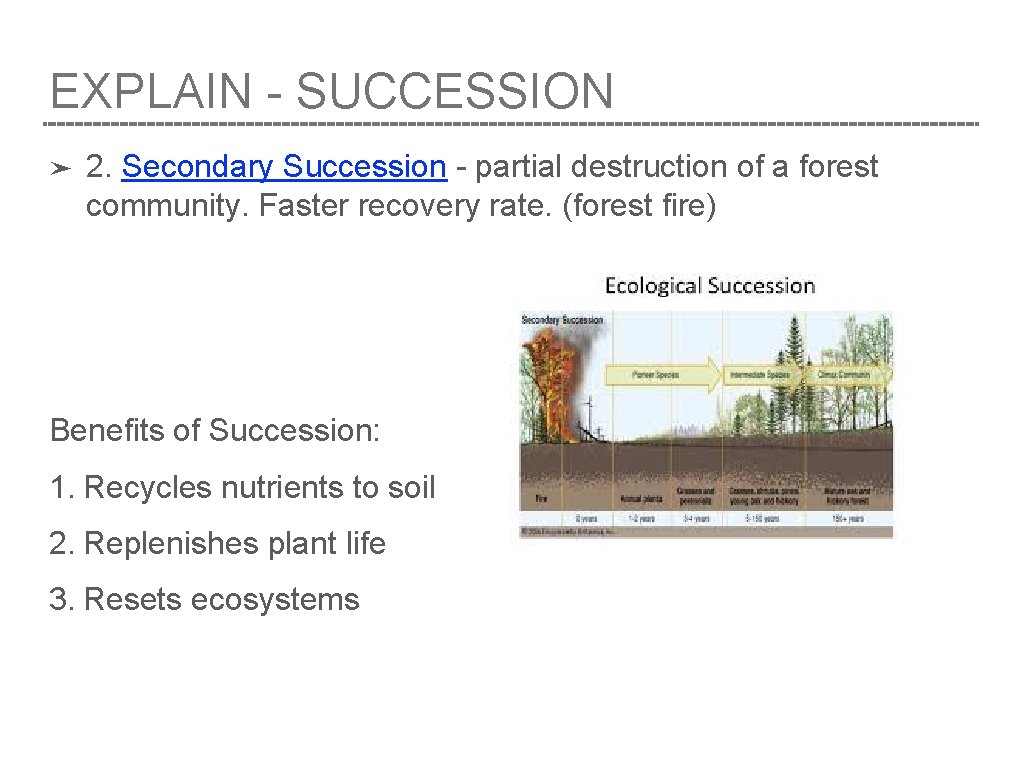 EXPLAIN - SUCCESSION ➤ 2. Secondary Succession - partial destruction of a forest community.