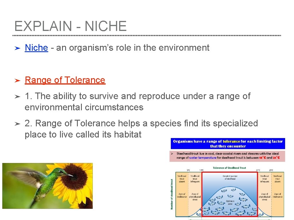 EXPLAIN - NICHE ➤ Niche - an organism’s role in the environment ➤ Range