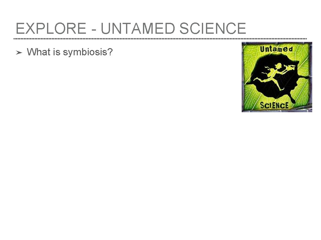 EXPLORE - UNTAMED SCIENCE ➤ What is symbiosis? 