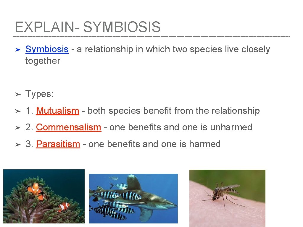 EXPLAIN- SYMBIOSIS ➤ Symbiosis - a relationship in which two species live closely together