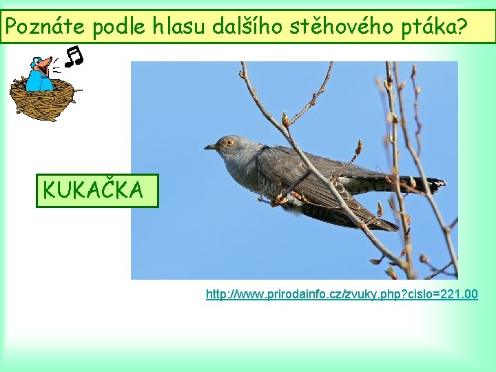 Poznáte podle hlasu dalšího stěhového ptáka? KUKAČKA http: //www. prirodainfo. cz/zvuky. php? cislo=221. 00