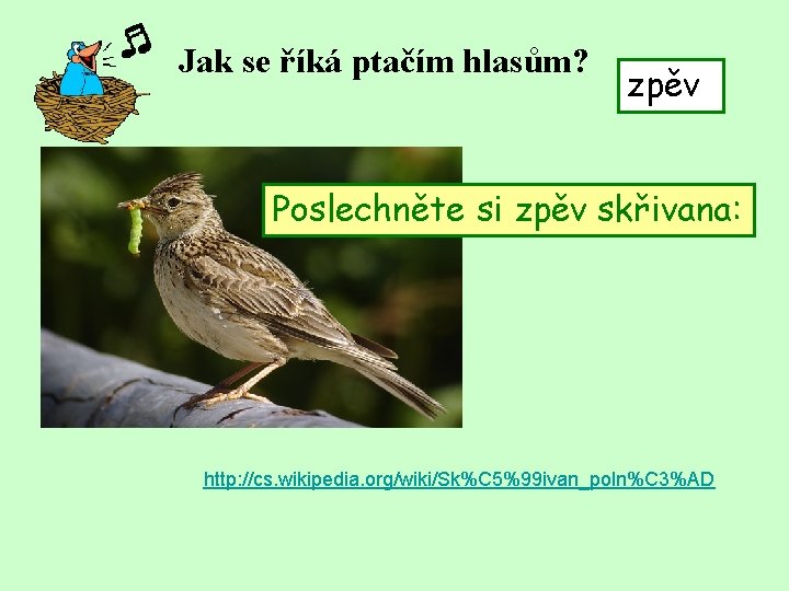 Jak se říká ptačím hlasům? zpěv Poslechněte si zpěv skřivana: http: //cs. wikipedia. org/wiki/Sk%C