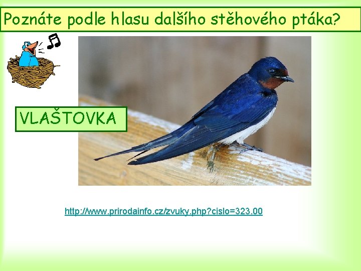 Poznáte podle hlasu dalšího stěhového ptáka? VLAŠTOVKA http: //www. prirodainfo. cz/zvuky. php? cislo=323. 00