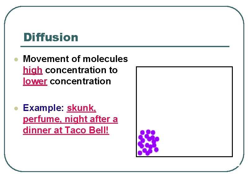 Diffusion l Movement of molecules high concentration to lower concentration l Example: skunk, perfume,