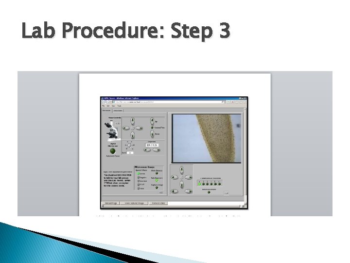 Lab Procedure: Step 3 
