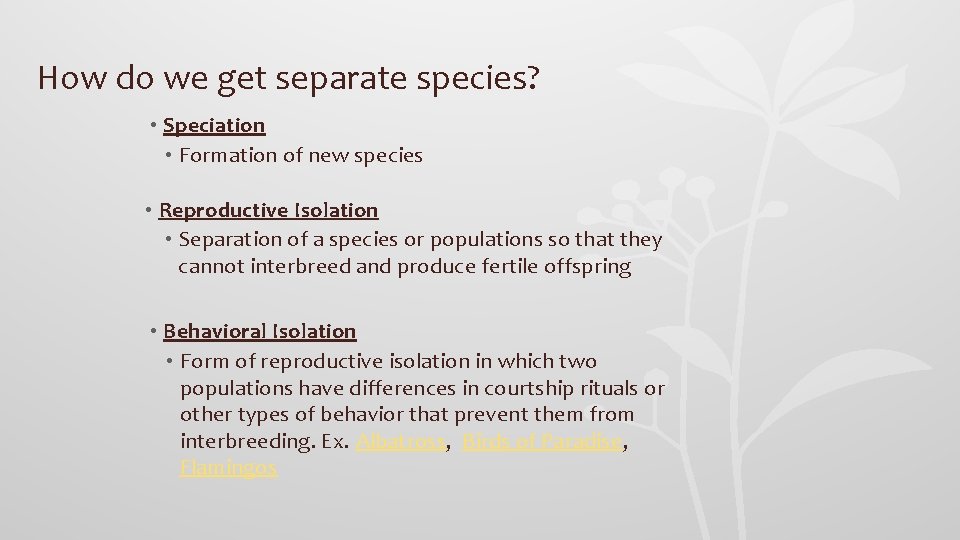 How do we get separate species? • Speciation • Formation of new species •