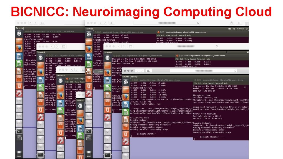 BICNICC: Neuroimaging Computing Cloud 