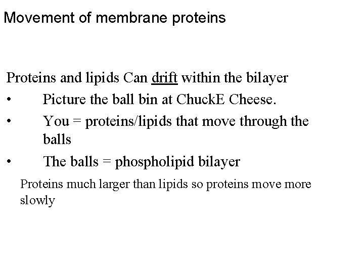 Movement of membrane proteins Proteins and lipids Can drift within the bilayer • Picture