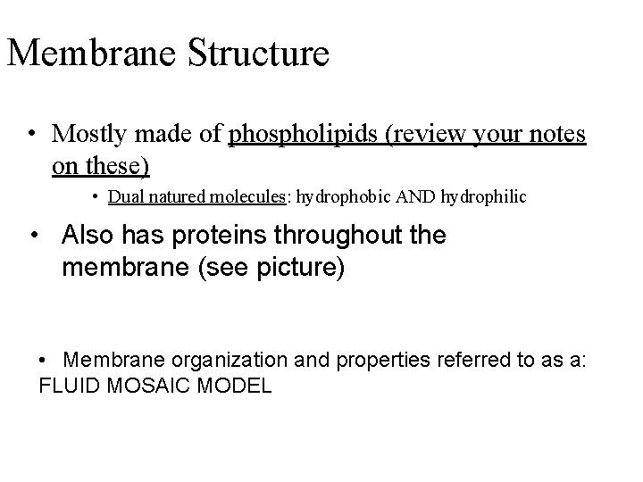 Membrane Structure • Mostly made of phospholipids (review your notes on these) • Dual