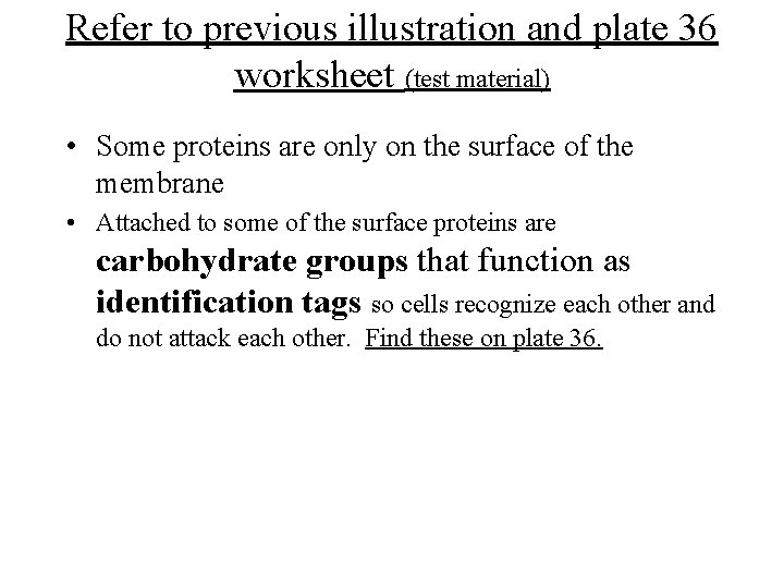 Refer to previous illustration and plate 36 worksheet (test material) • Some proteins are
