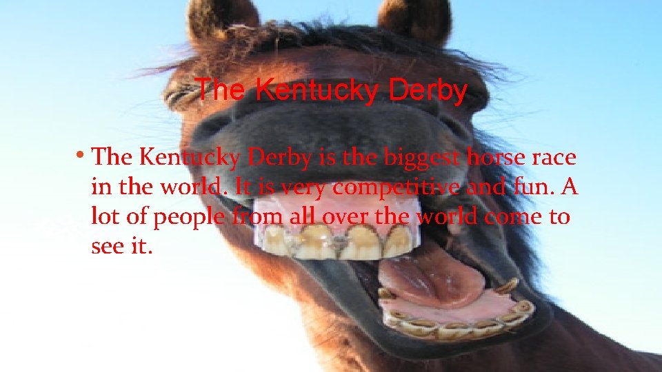 The Kentucky Derby • The Kentucky Derby is the biggest horse race in the