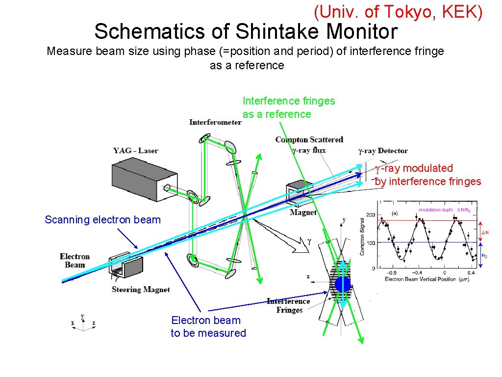 (Univ. of Tokyo, KEK) Schematics of Shintake Monitor Measure beam size using phase (=position