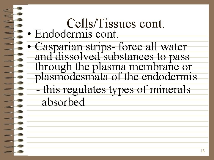 Cells/Tissues cont. • Endodermis cont. • Casparian strips- force all water and dissolved substances