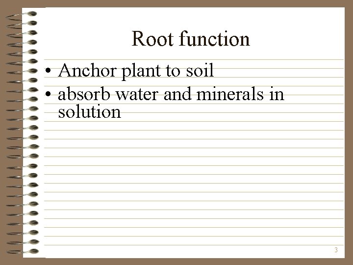 Root function • Anchor plant to soil • absorb water and minerals in solution