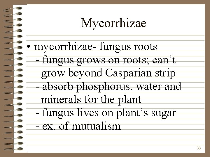 Mycorrhizae • mycorrhizae- fungus roots - fungus grows on roots; can’t grow beyond Casparian