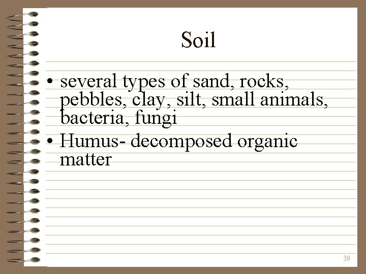 Soil • several types of sand, rocks, pebbles, clay, silt, small animals, bacteria, fungi